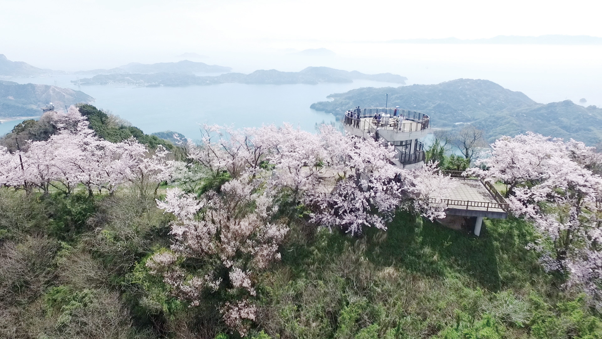 Mt. Sekizen-zan Scenic Overlook - Visit Shimanami