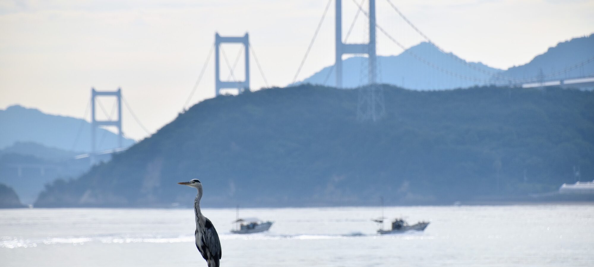 Kurushima Straits Island-Hopping Adventure