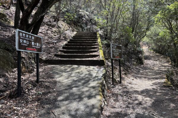 Mt. Anjin Hiking Trail Fork
