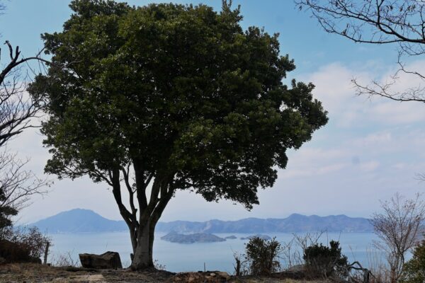 Mt. Anjinsan Summit (266.8m)