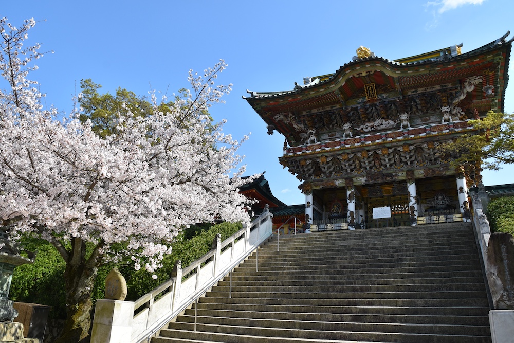 Seeking Sakura on the Shimanami Kaido