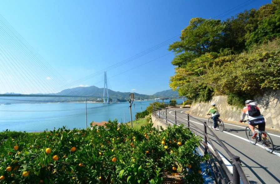 A beginner’s guide to Shimanami Kaido