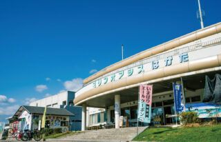 Michi-no-Eki Rest Stop:  Hakata SC Park